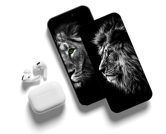 Customized Job Search Solutions