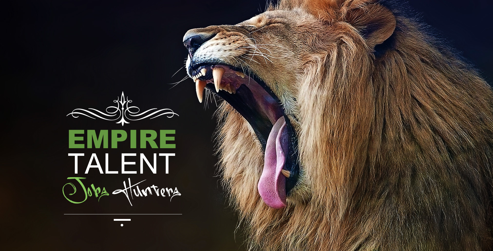 Hunting For A New Job