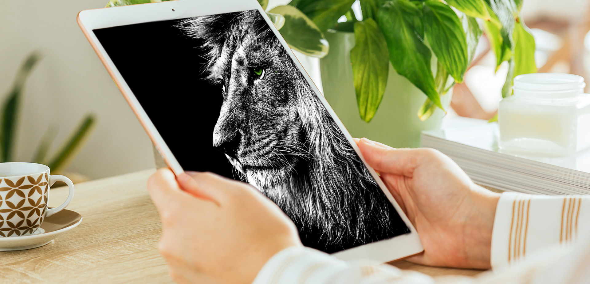 Visit Empire Talent Website for Latest Job Posts